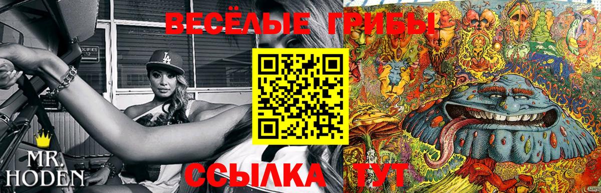 Коломна  Галлюциногенные грибы мицелий  продажа наркотиков  Вход с VPN 
